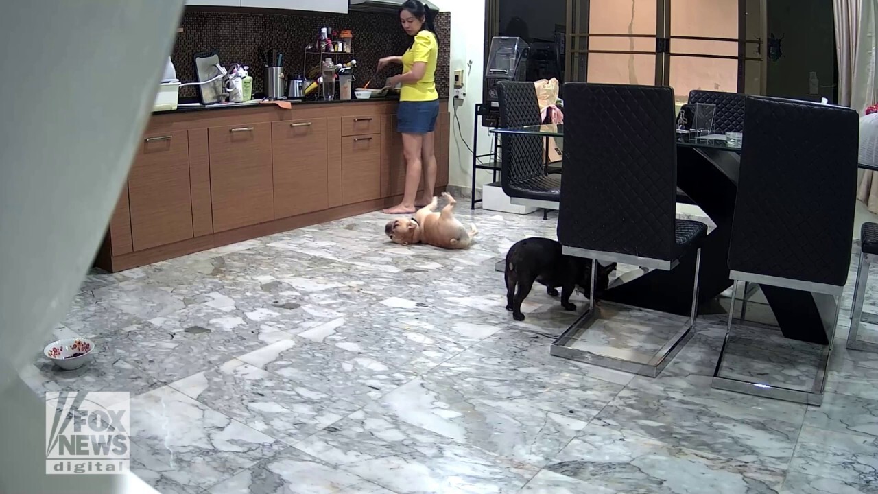 Куче беше забелязано да се задушава в драматично видео преди