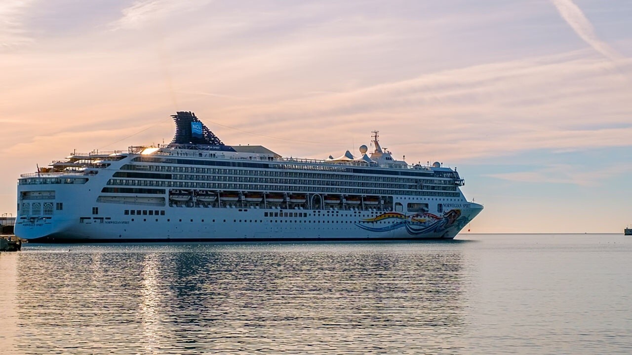 Norwegian Cruise Line Holdings CEO: CDC guidelines for cruises are ‘stupid’ 