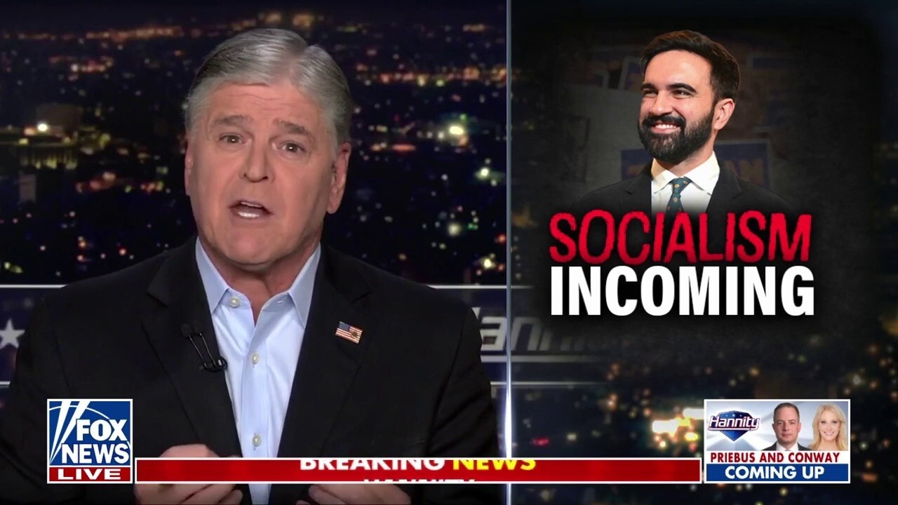 Sean Hannity: Is there anyone in the Democratic Party willing to stand up to 'Marxist, Communist' statists?