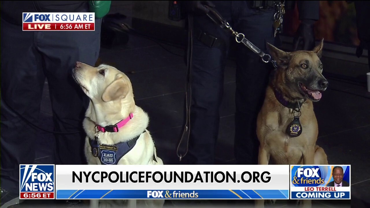 NYC Police Foundation releases calendar with K-9s and mounted unit
