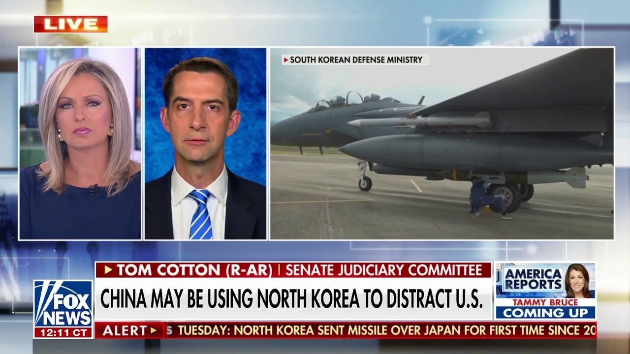 Tom Cotton blasts Biden's 'concessions' on world stage: Dictators can 'smell the weakness'