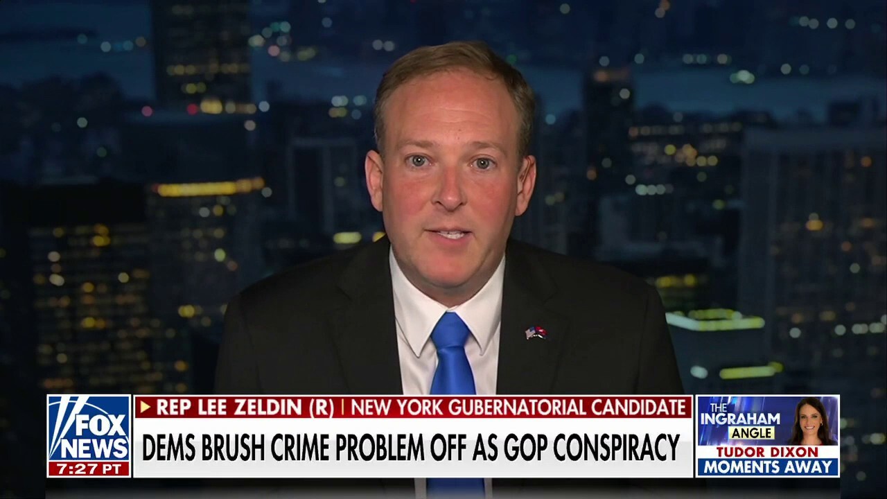 It’s really ignorant to attack Ron and I: Lee Zeldin