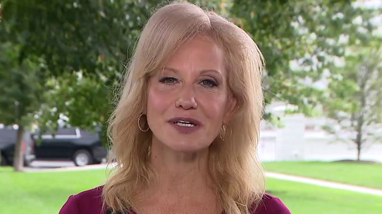 Kellyanne Conway On Dnc Progressives Have Power Over Platform Fox News Video 