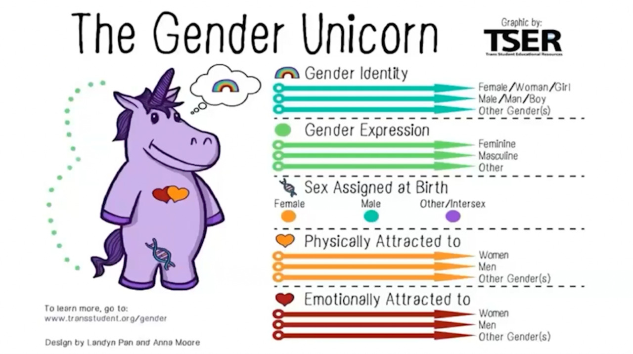 California teacher uses 'gender unicorn' with toddlers