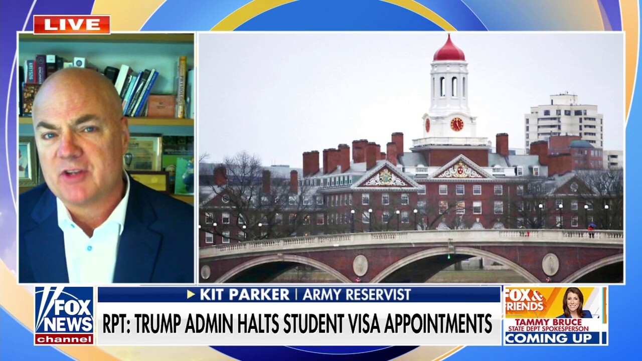 Harvard professor warns China is 'only winner' in Trump funding fight