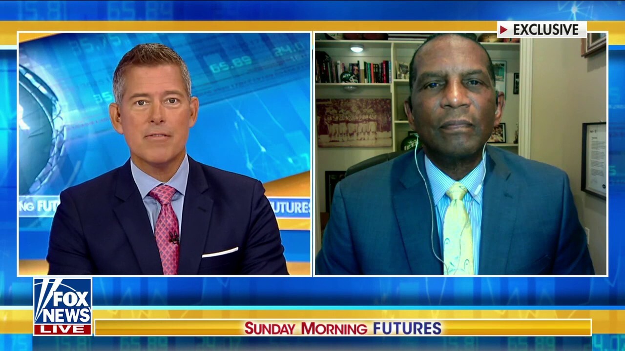 Rep. Burgess Owens rips Democrats' divisive rhetoric: 'They will ...