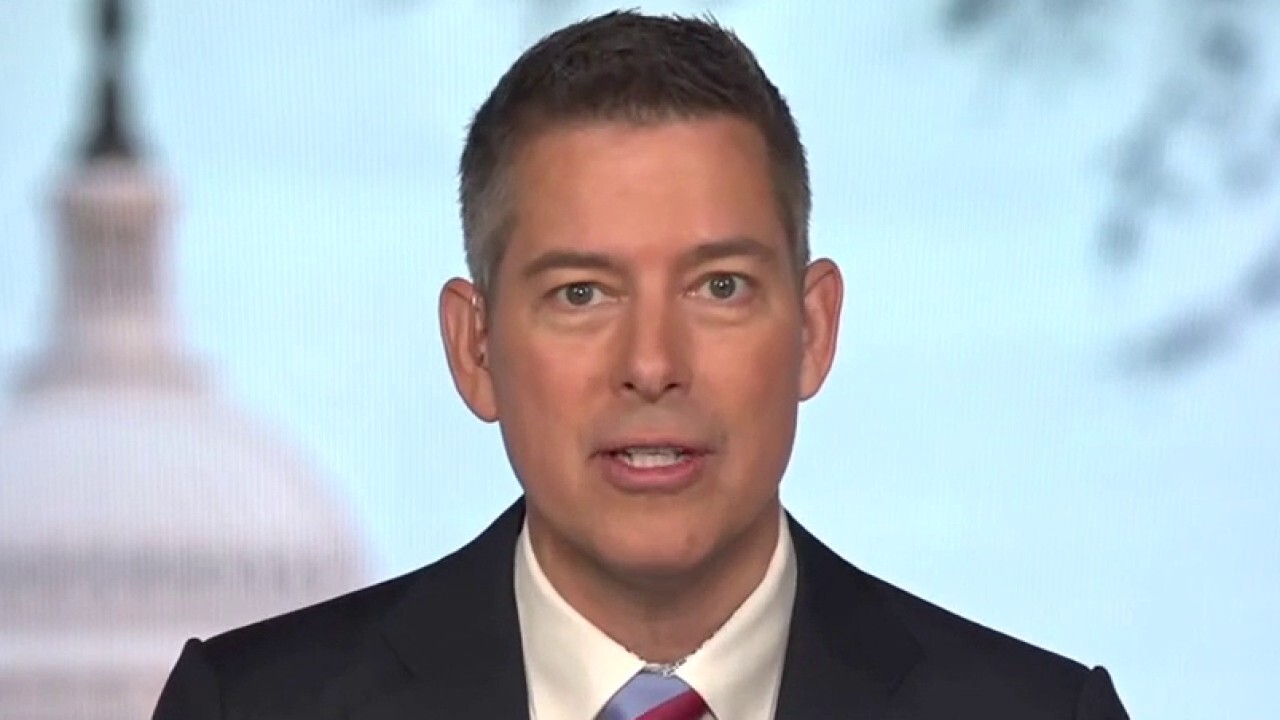 Democrats, teachers unions want to 'indoctrinate' kids instead of teach them: Sean Duffy