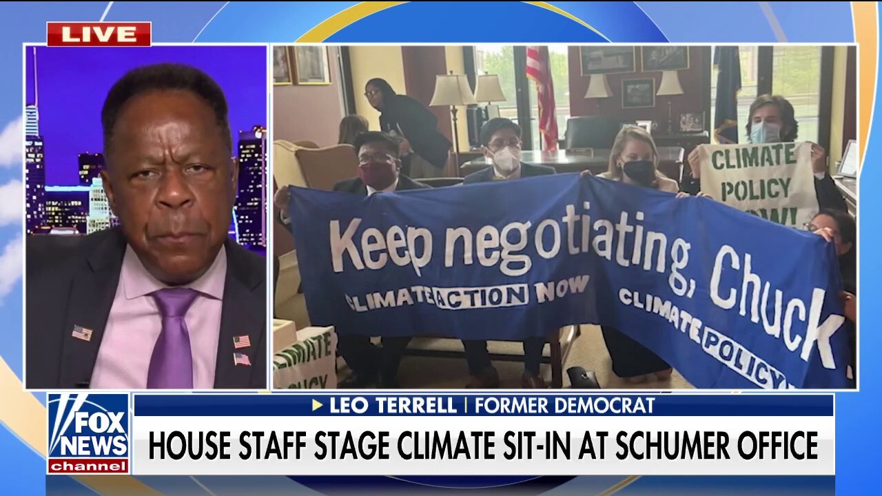 Chuck Schumer office protests a ‘Democratic photo op’: Terrell