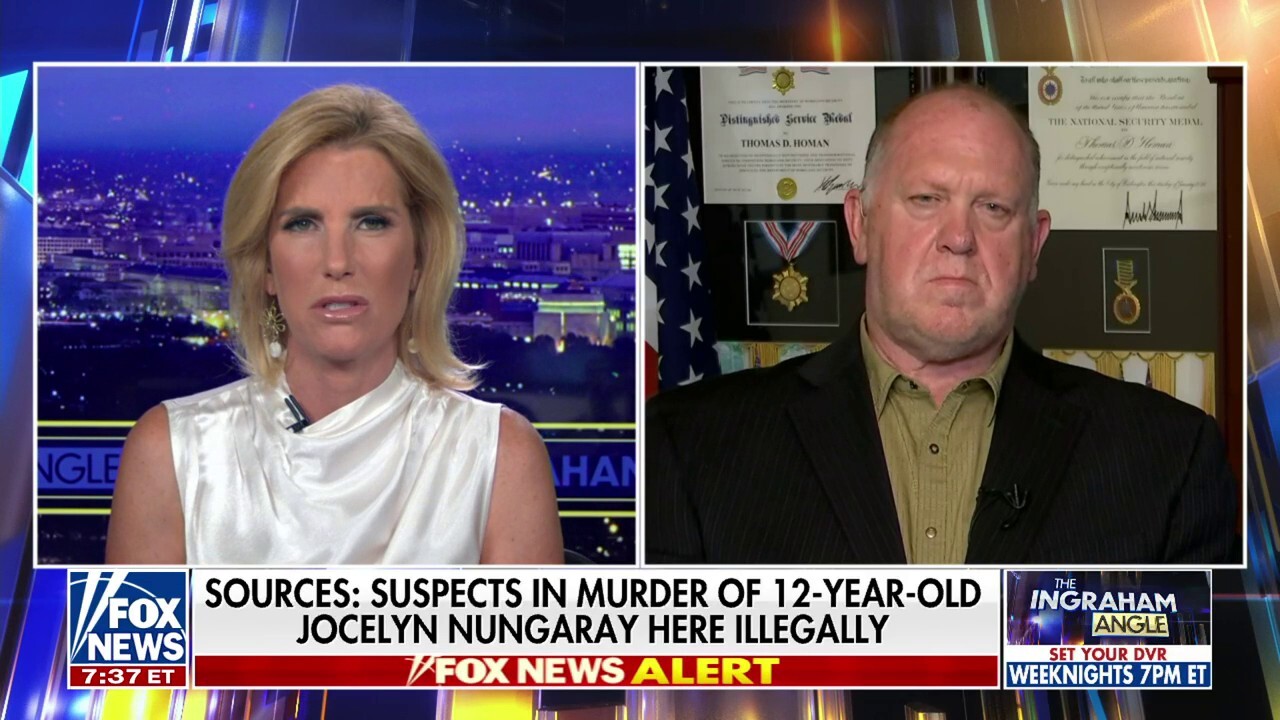 Homan: Any GOP congressman who didn't vote to impeach Mayorkas can 'go to hell'