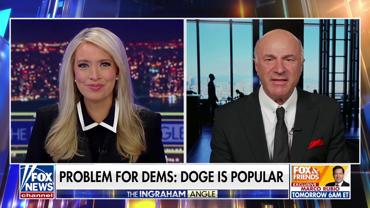 Kevin O’Leary concerned DOGE is ‘not cutting enough’