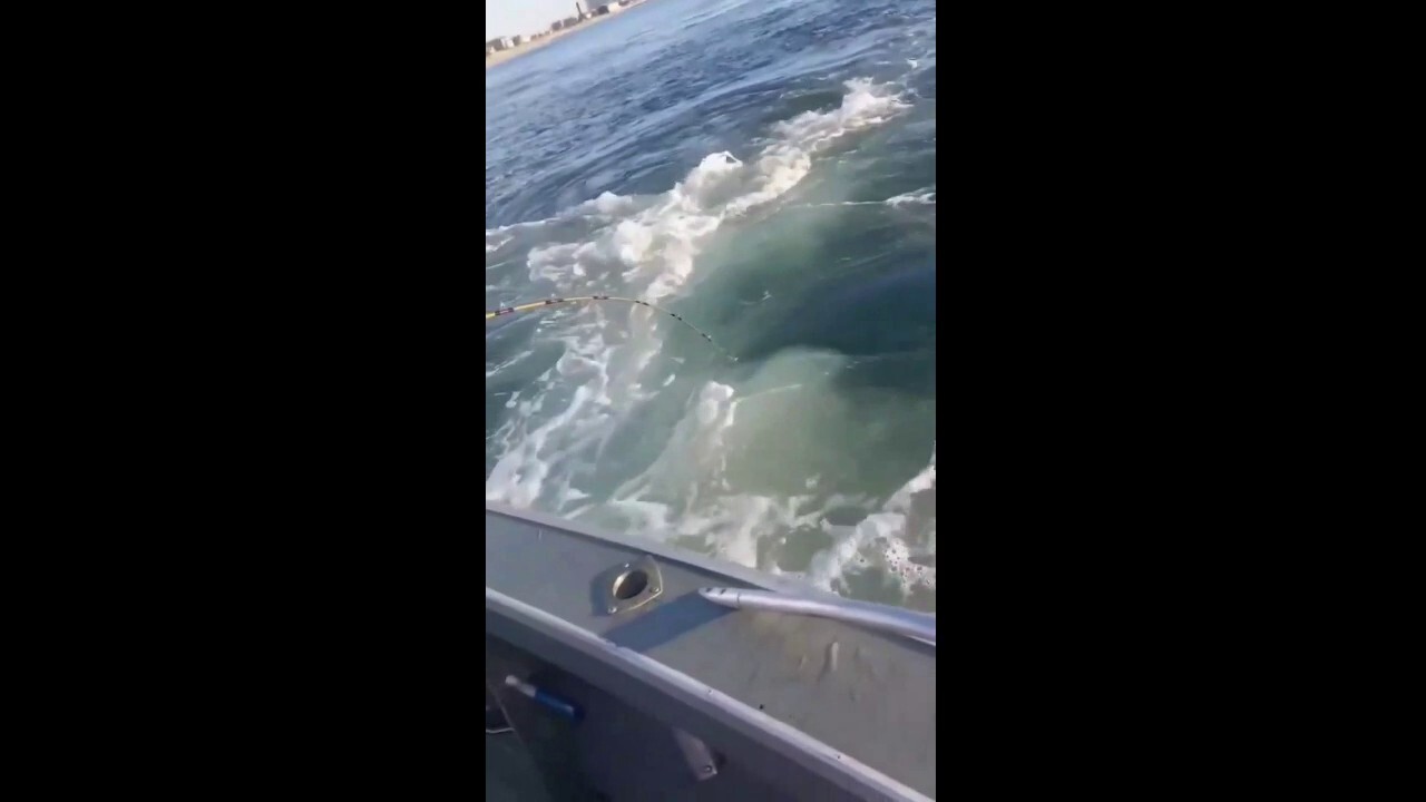 Whale makes a surprise breach next to fishing boat