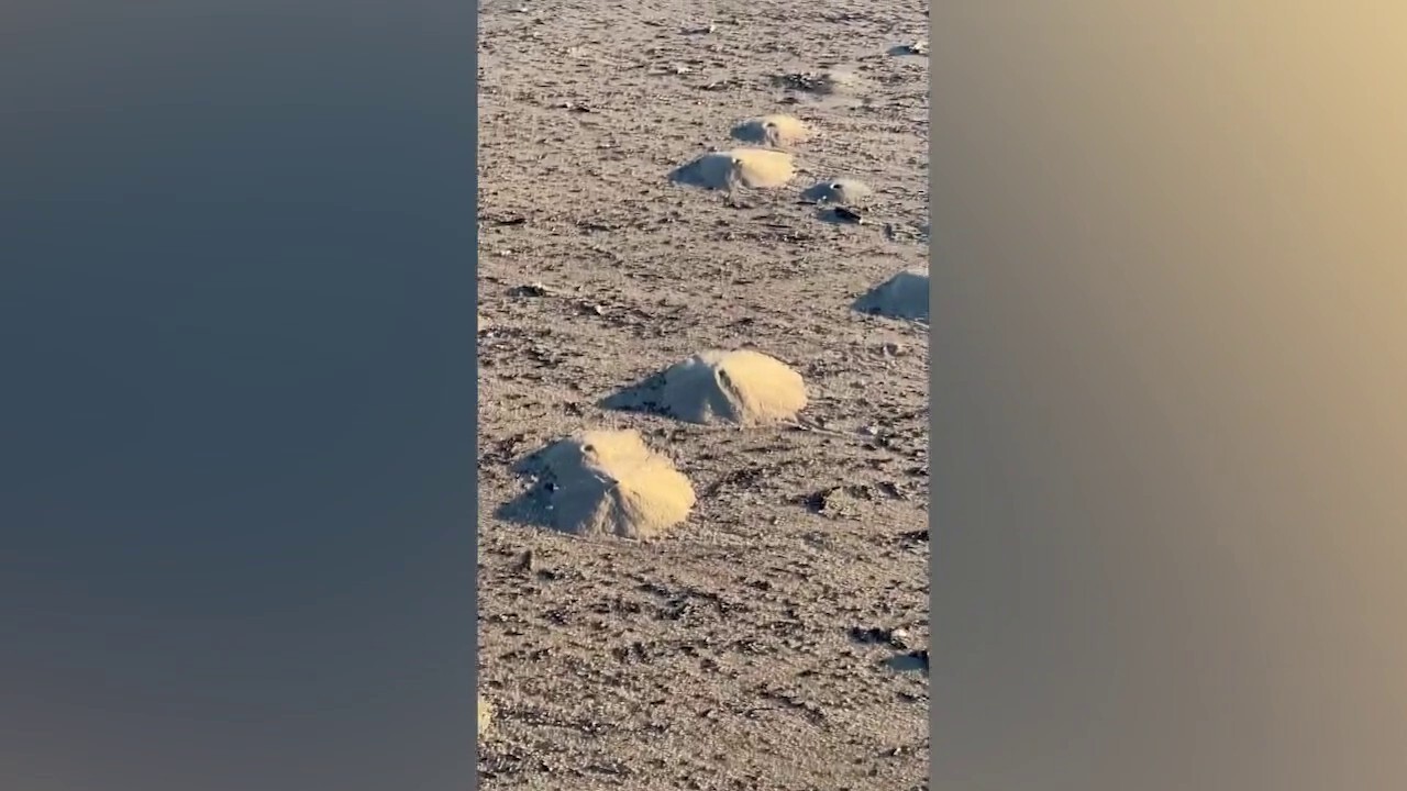 „Мини вулкани“, направени от купчини пясък, изглеждат разпръснати по плажа в Тексас