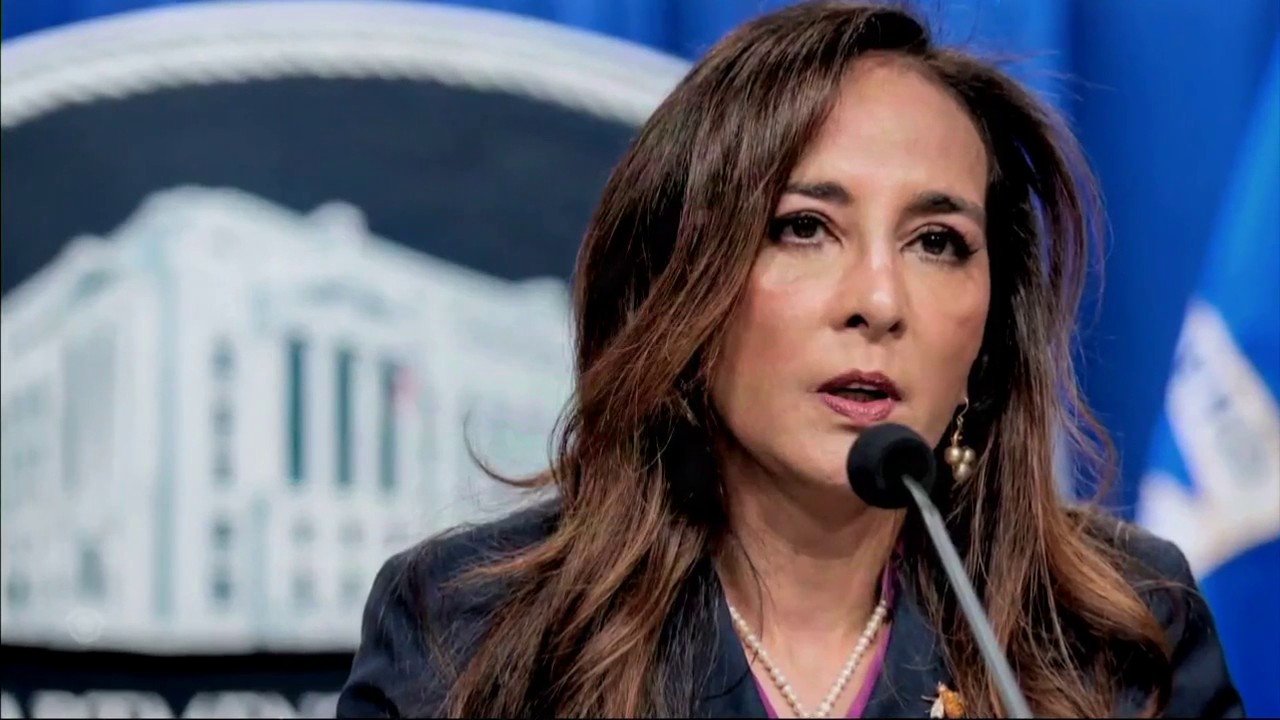 Harmeet Dhillon defends investigations into noncitizen voting