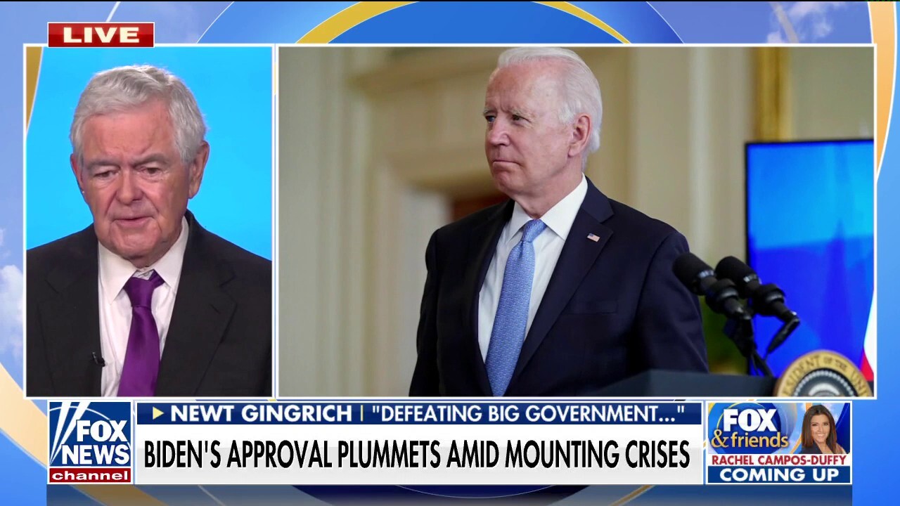 Newt Gingrich on 'Fox & Friends': Biden, Democrats can't message their way out of this