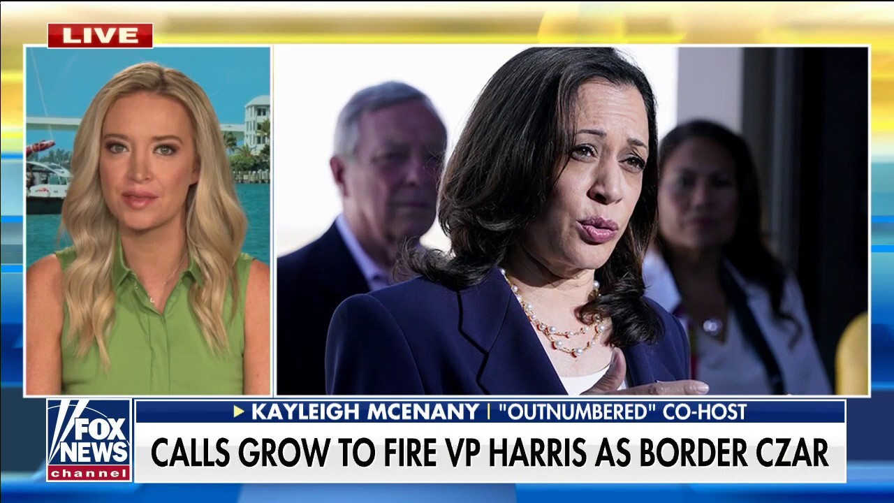 McEnany: Border disaster is why Kamala Harris has lowest VP approval in 50 year