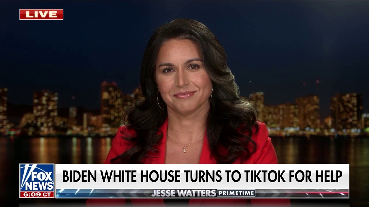 Authorities' arguments are ‘so weak’ they cannot withstand the truth: Tulsi Gabbard