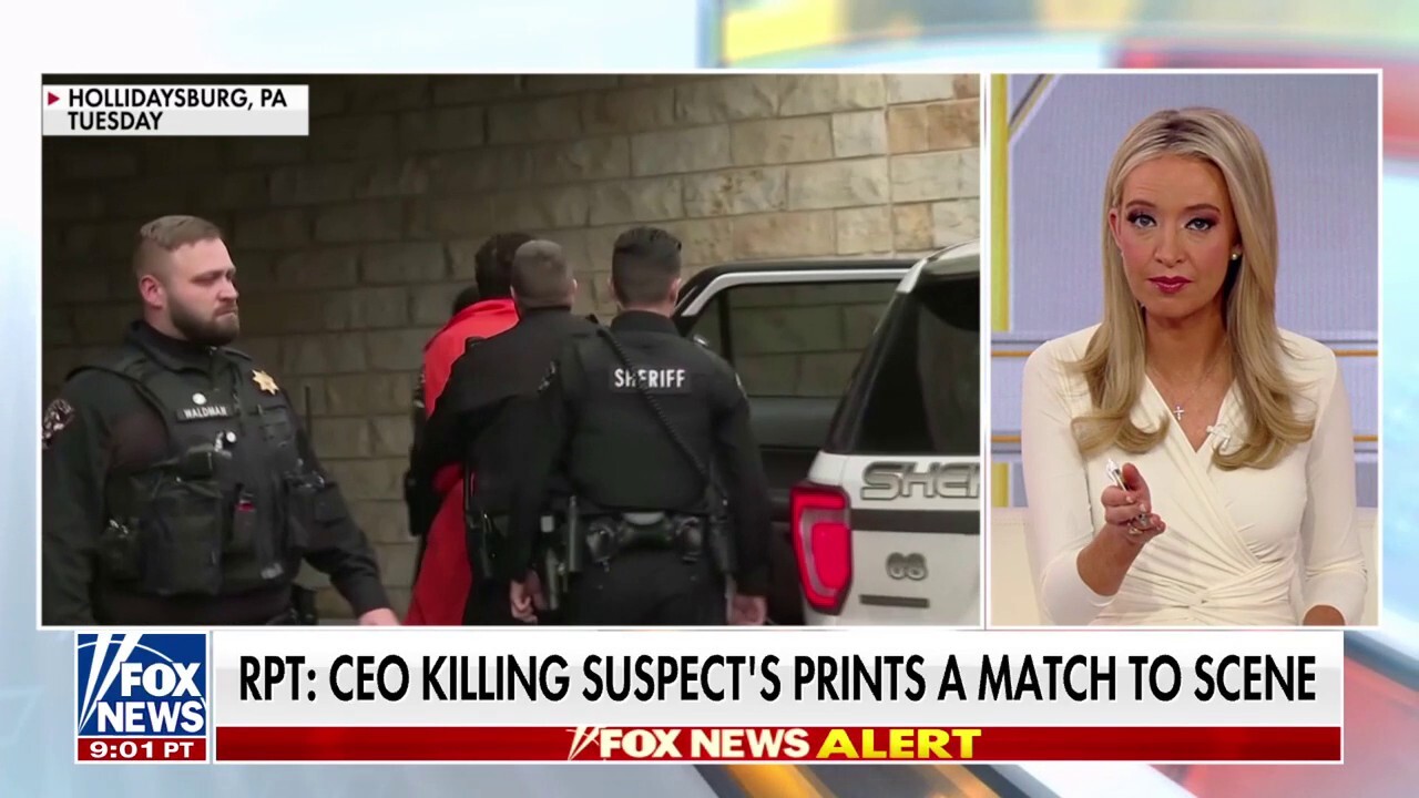 Kayleigh McEnany: The media somehow linked this to Trump