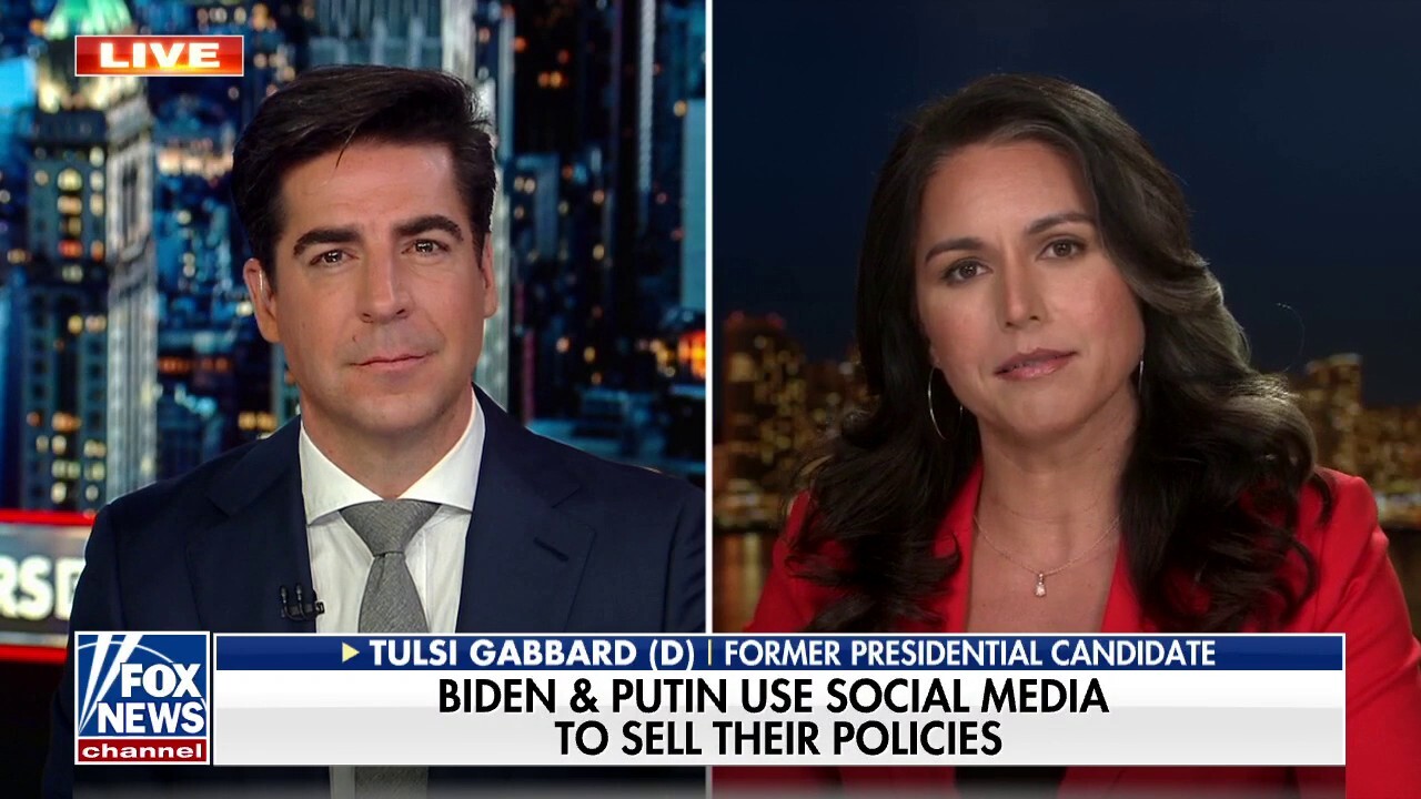 Authorities ‘challenged’ by any questioning of their narrative: Tulsi Gabbard