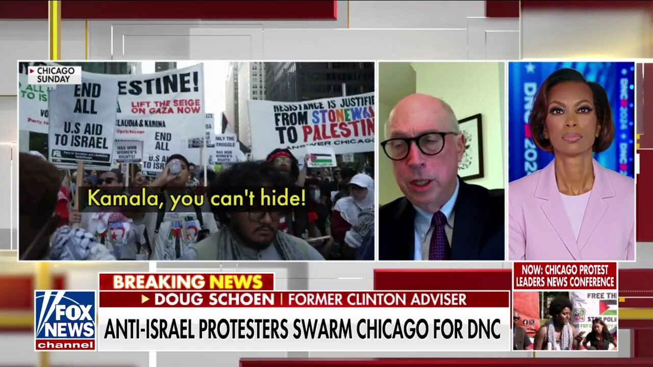 Former Clinton adviser reacts to anti-Israel protests swarming DNC in Chicago