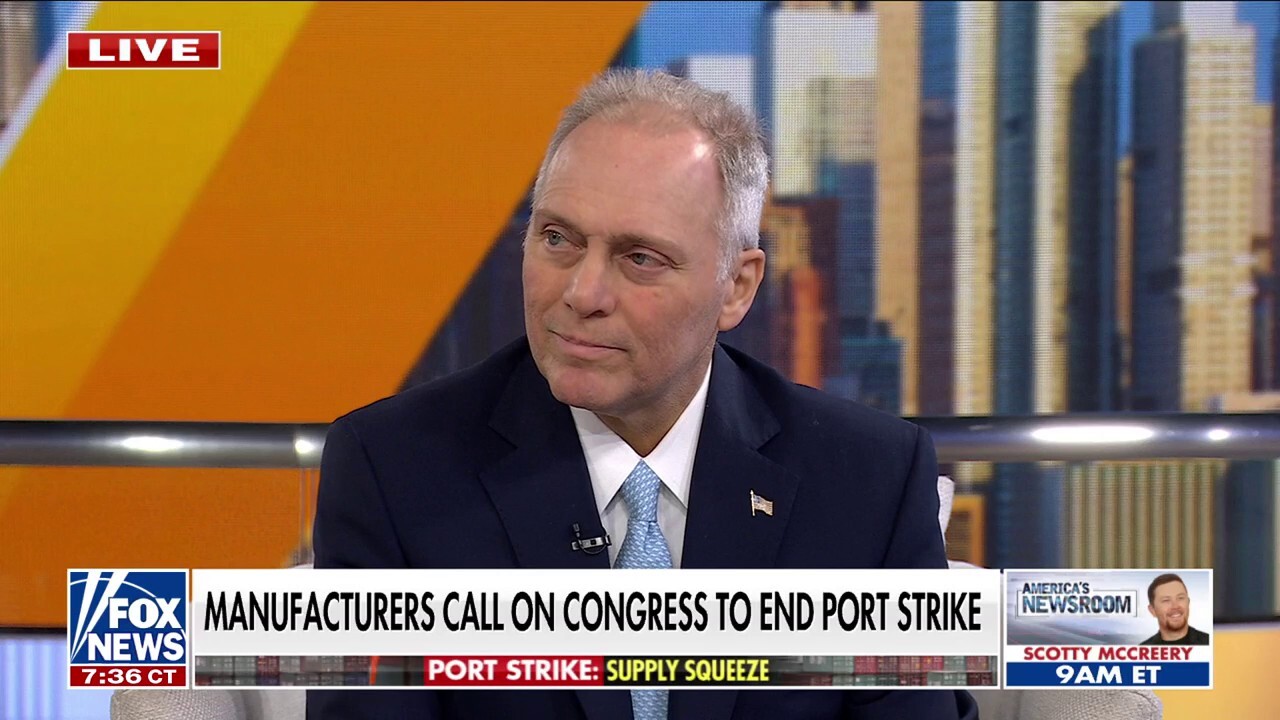 Rep. Steve Scalise warns port strike will add to inflation: 'Biden, Harris won't do anything'