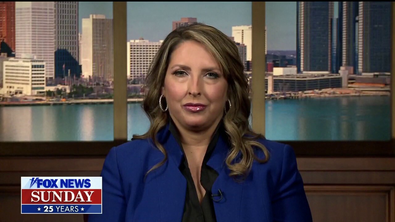 Election integrity 'still in Republican Party concerns': Ronna McDaniel
