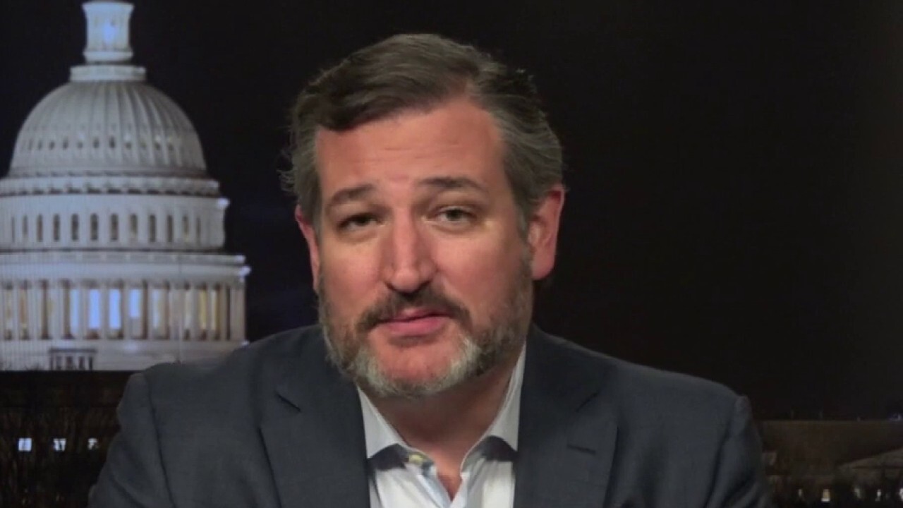Ted Cruz calls out mainstream media for interfering in legal election process