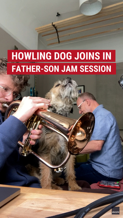  A howling borderline  terrier joined the amusive  erstwhile   a father-son duo had an impromptu euphony  jam session