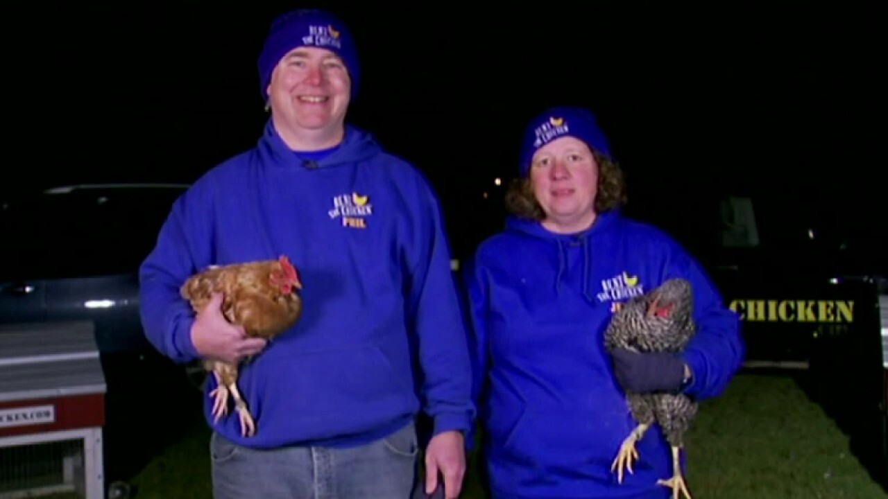 Pennsylvania couple starts 'rent the chicken' business amid egg shortage