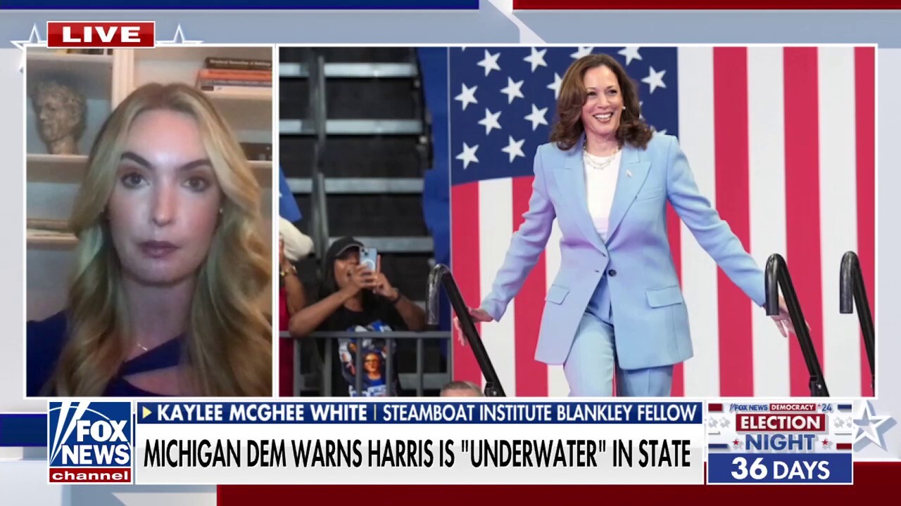 Kaylee McGhee White on Harris reportedly 'underwater' in key swing state: 'Massive problem for her campaign'