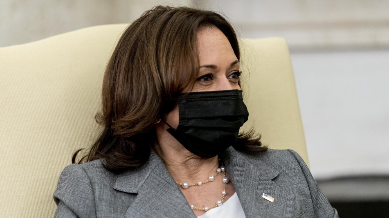 Ex-Trump DHS officials say Harris needs to visit border, accuse her of dodging 'political hot potato'