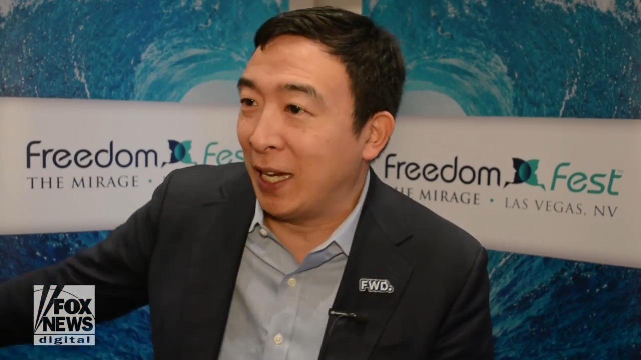 Andrew Yang hits Democrats for elevating 'extreme' GOPers