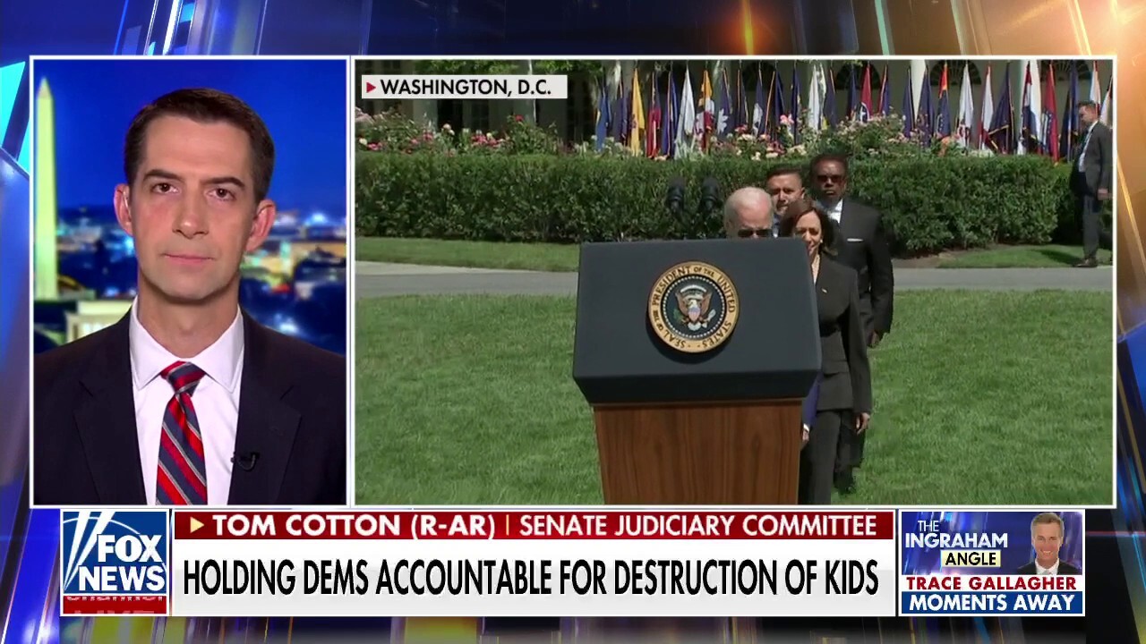 Sen Tom Cotton: Dems don't want to take credit for school lockdowns