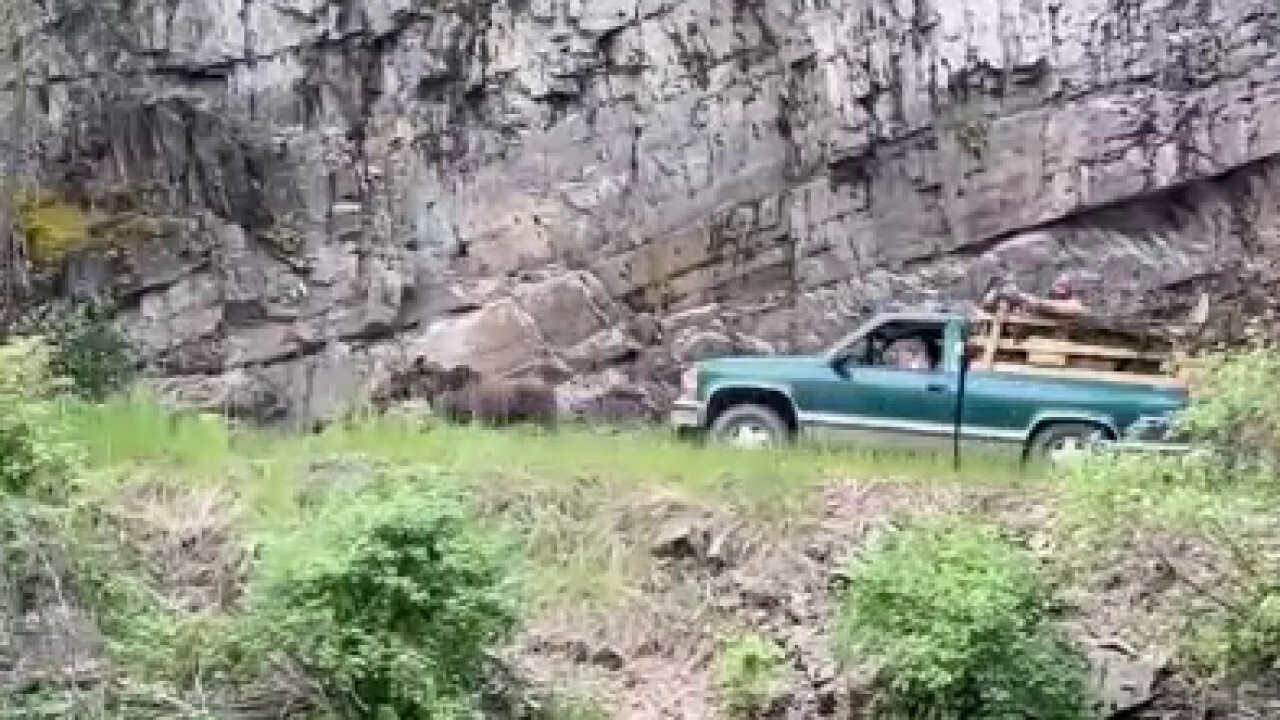 Truck spotted chasing moose in shocking sight