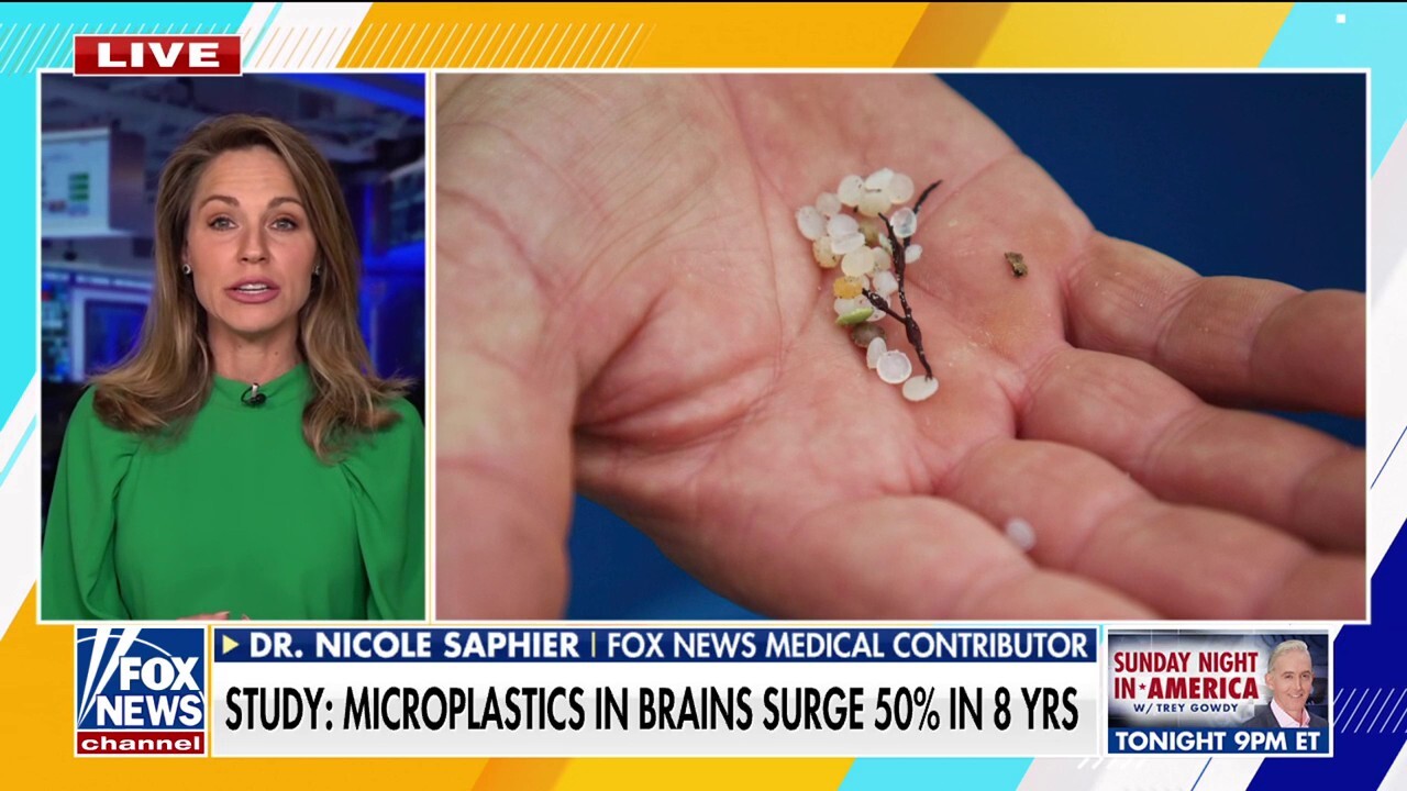 Surge in brain microplastics found in new study 