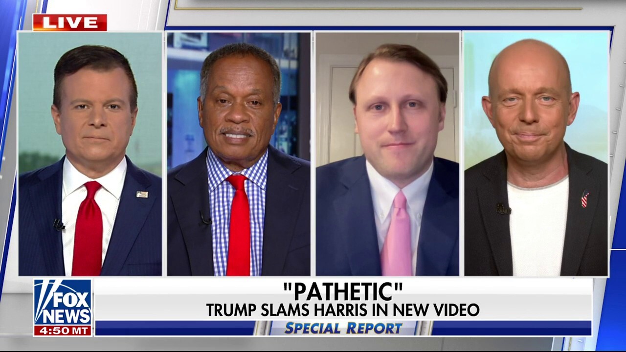  ‘All-Star’ panelists Juan Williams, Steve Hilton and Daniel Lippman discuss how many Democrats are concerned about President Biden’s re-election chances on ‘Special Report.’