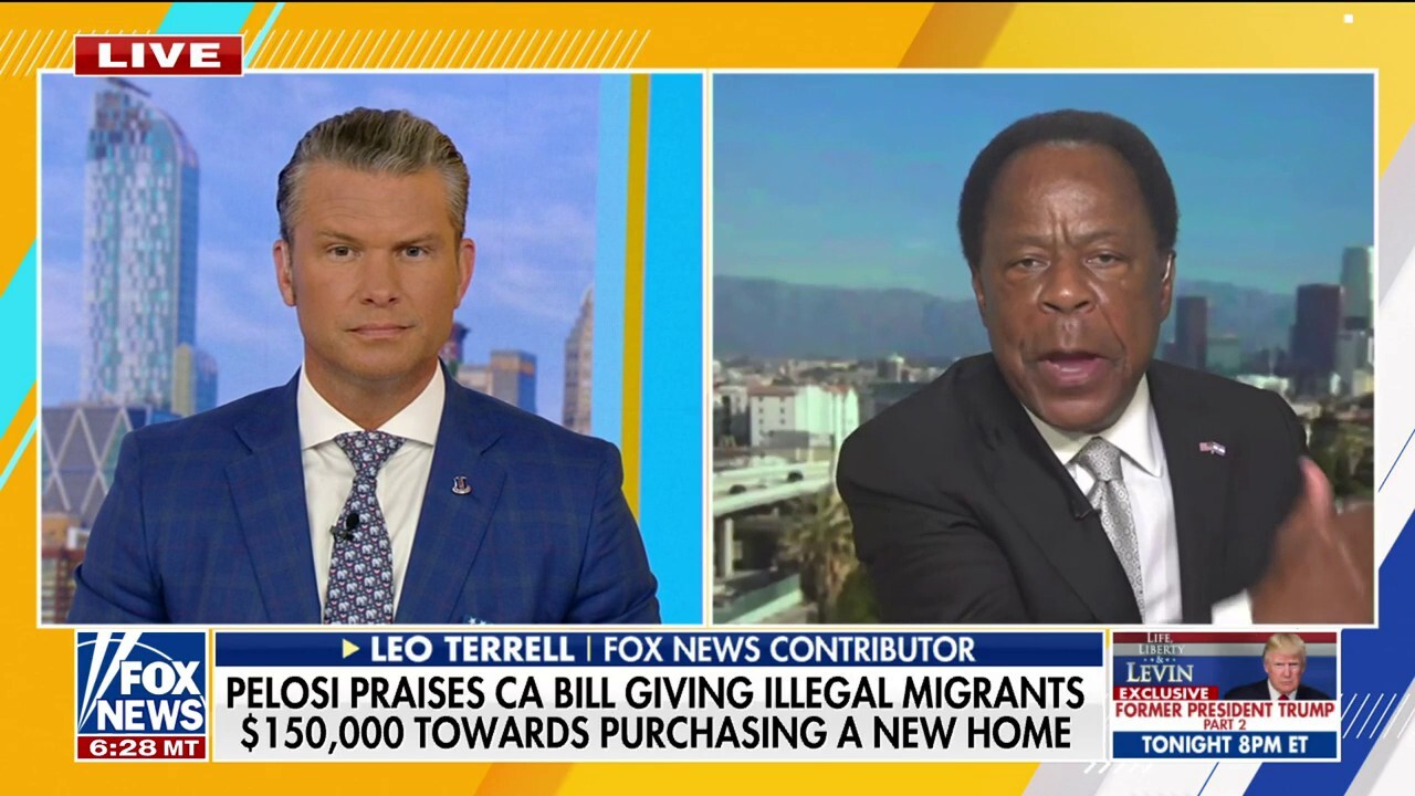 Nancy Pelosi wants ‘more voters’ for the Democratic Party: Leo Terrell