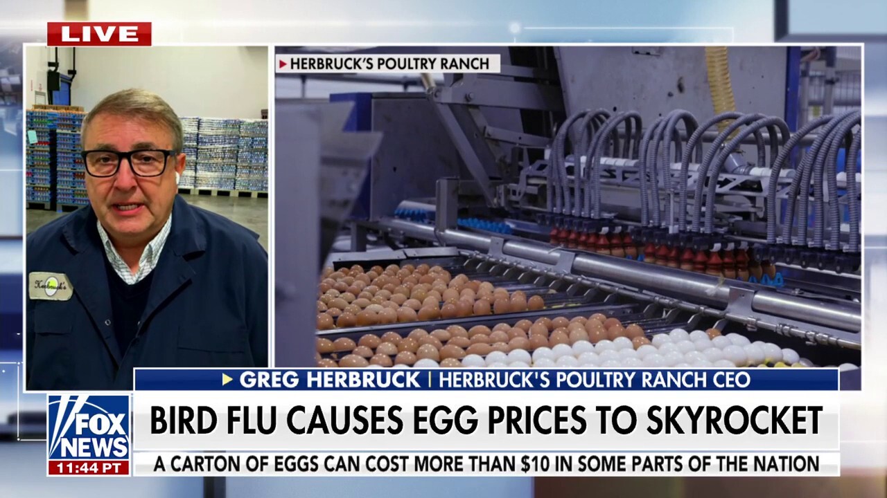 Poultry farmer reacts to egg shortage: 'We're entering the fourth year of a battle and we're losing' 