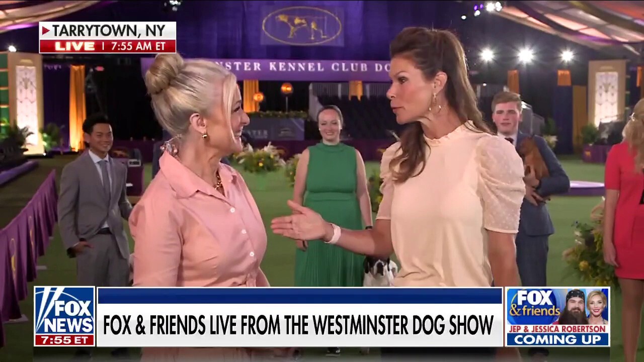 Westminster Dog Show 'Best in Show' preview