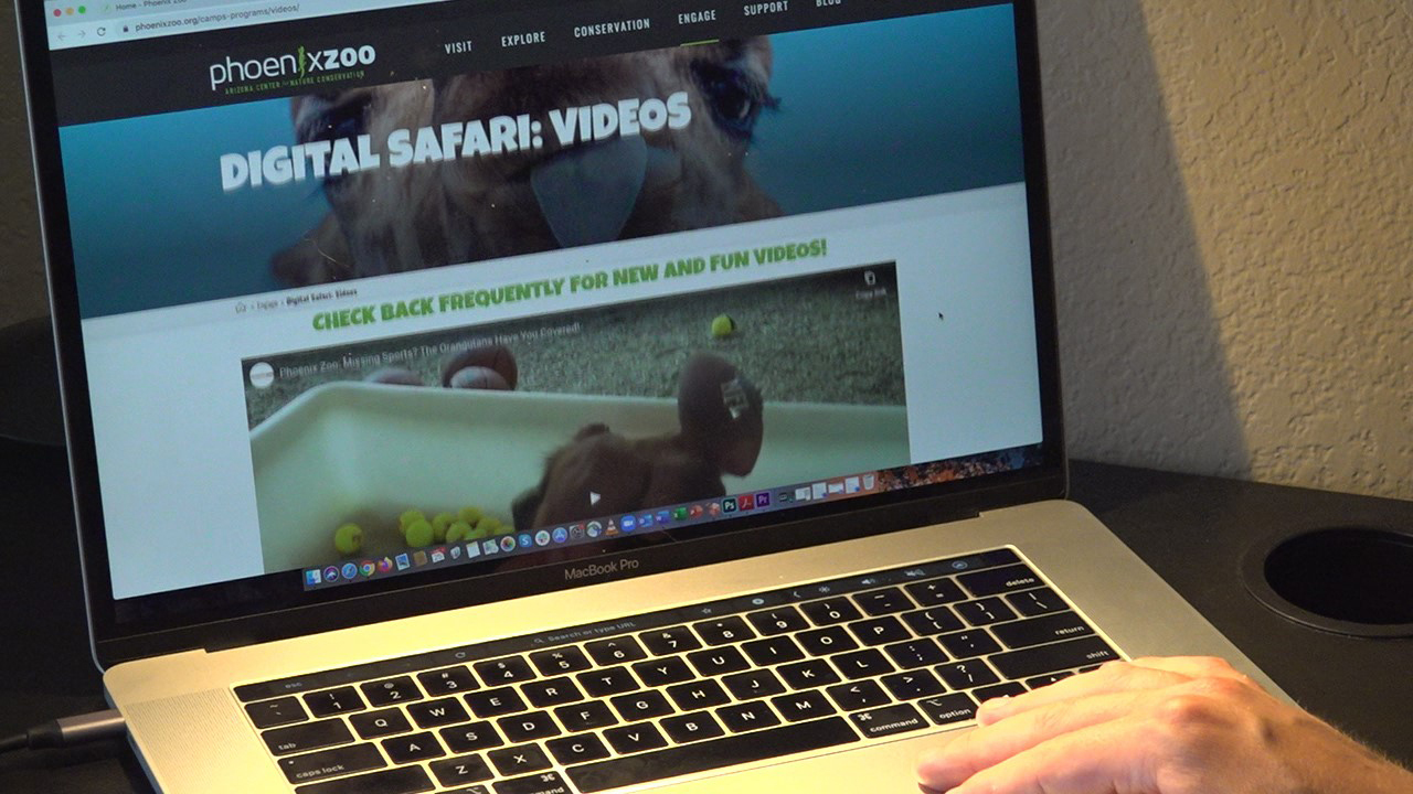 Phoenix Zoo goes digital amid coronavirus closure