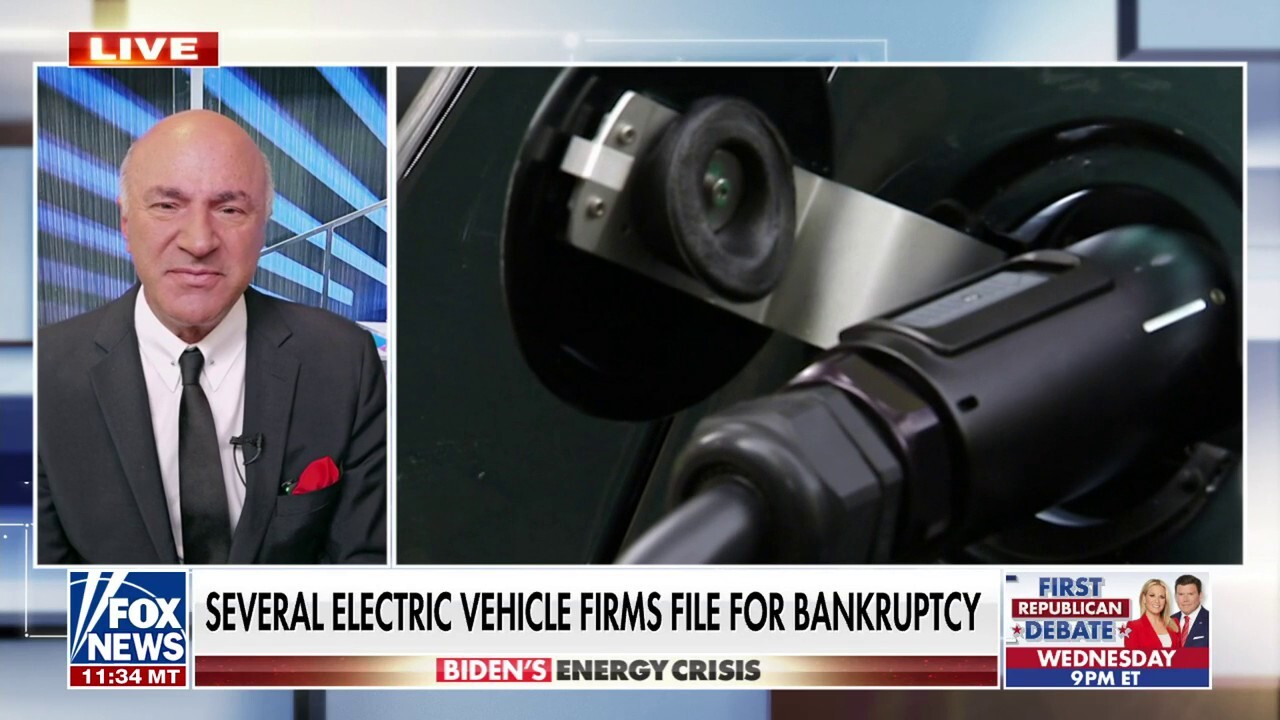 Kevin O'Leary: This is a problematic narrative for the EV industry
