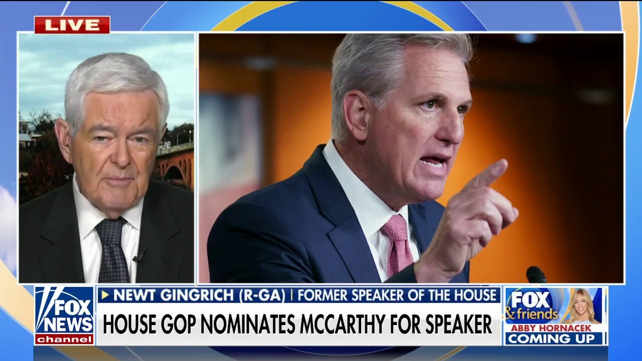 Newt Gingrich: 'Omar, Schiff and Swalwell totally deserve this'