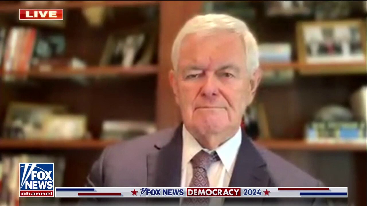 Newt Gingrich 'It would be a mistake' for Trump to announce 2024