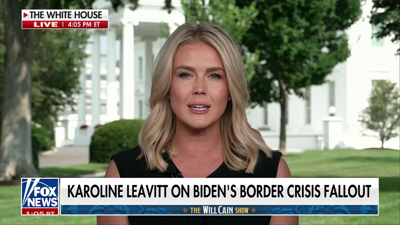 Karoline Leavitt: Hunter Biden is ‘unhinged’ for this dishwasher comment