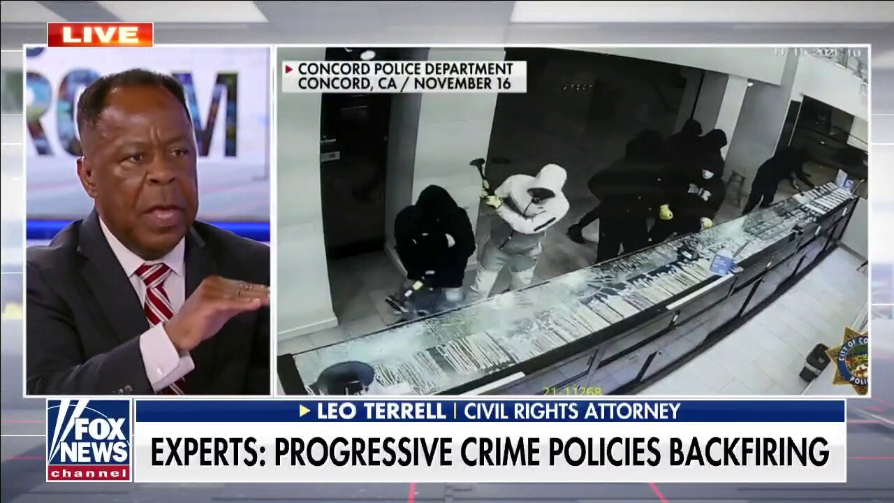 Dem strategy backfired due to ‘false assumption that a systemic, racist policy exists’: Leo Terrell