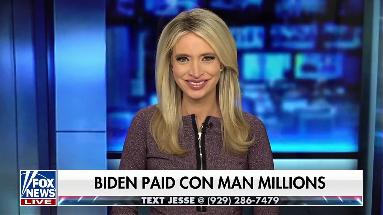 Kayleigh McEnany: The Democrats are so dense