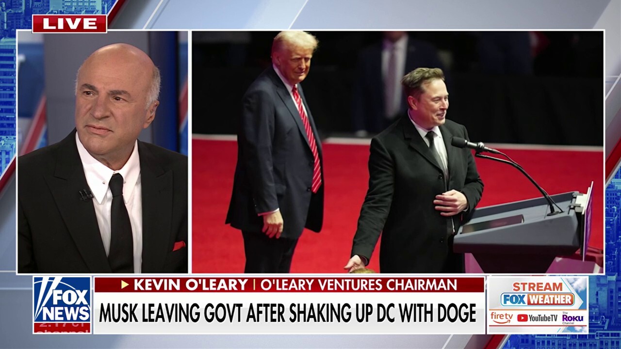  Kevin O’Leary: Elon Musk brought the idea of a ‘different kind’ of audit into government