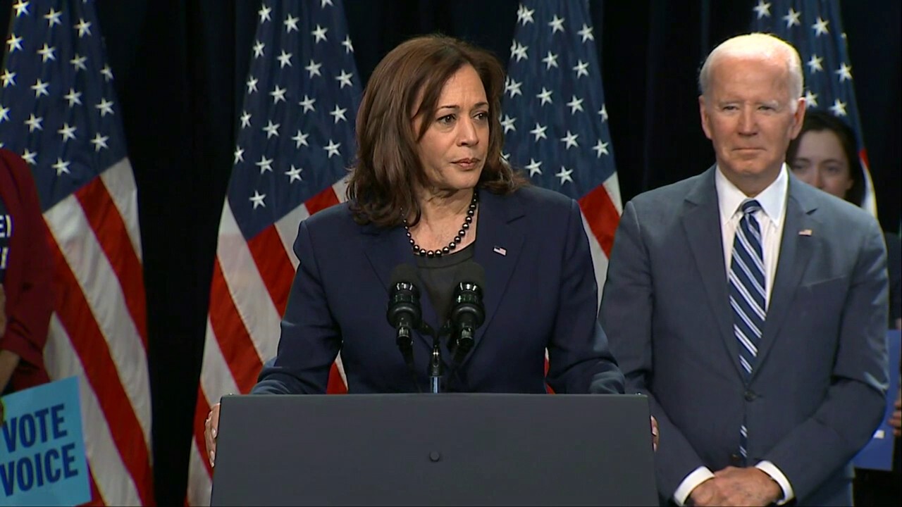 Harris says 'democracy is intact' after Democrats warned 'democracy is on the ballot'