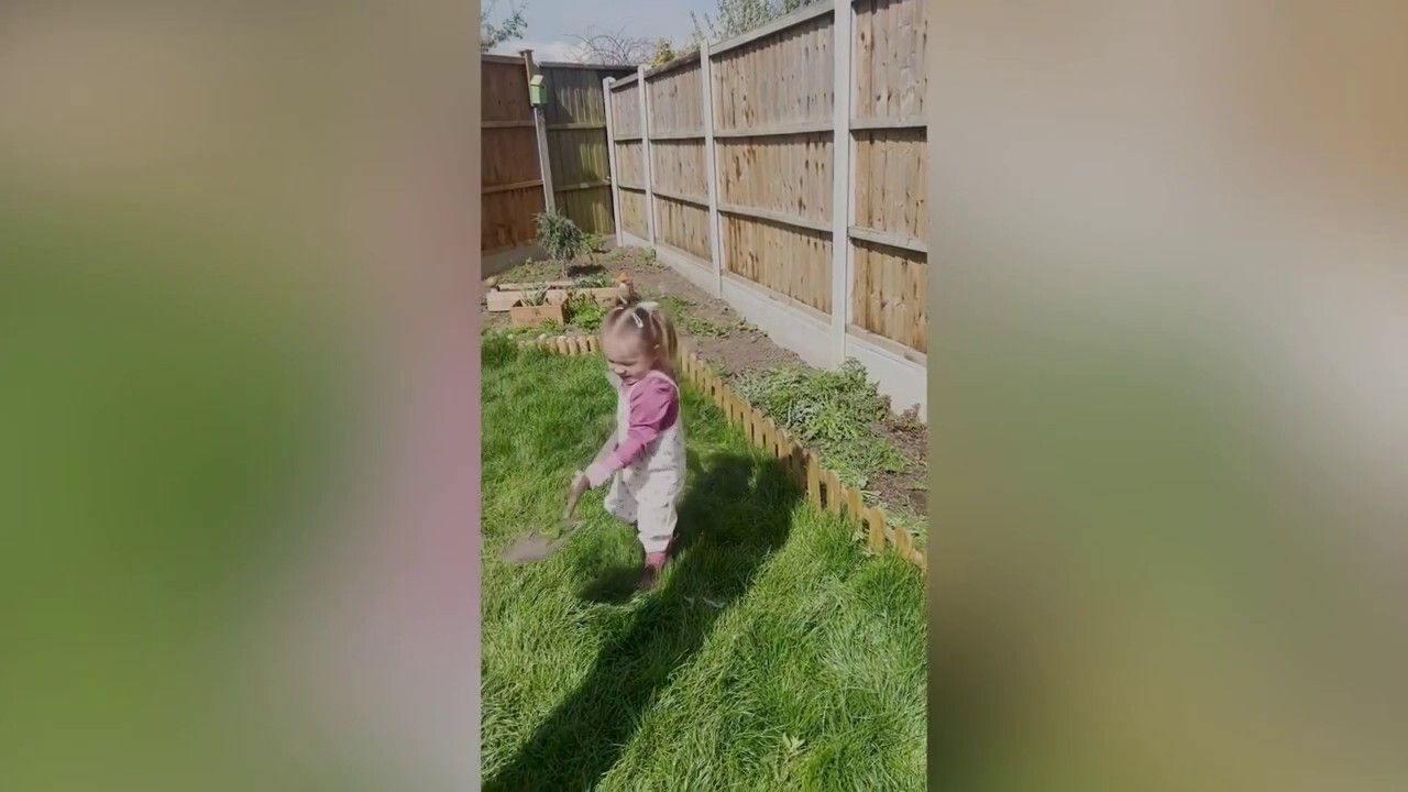Toddler tends to 'fairy garden' full of fruits and vegetables to feed her family