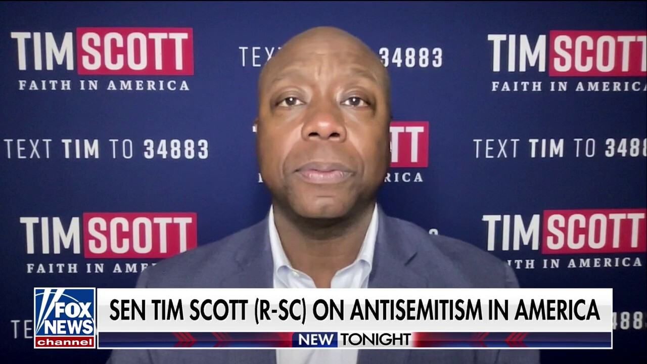 We expect to have a very strong showing in Iowa: Tim Scott