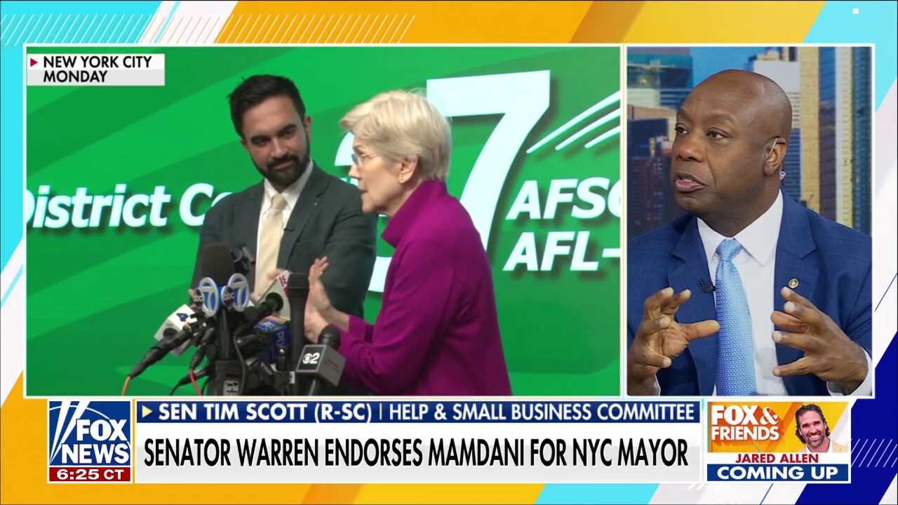 Sen. Scott sounds alarm on Dems' pivot toward Mamdani, socialism: 'Can't imagine a worse decision'